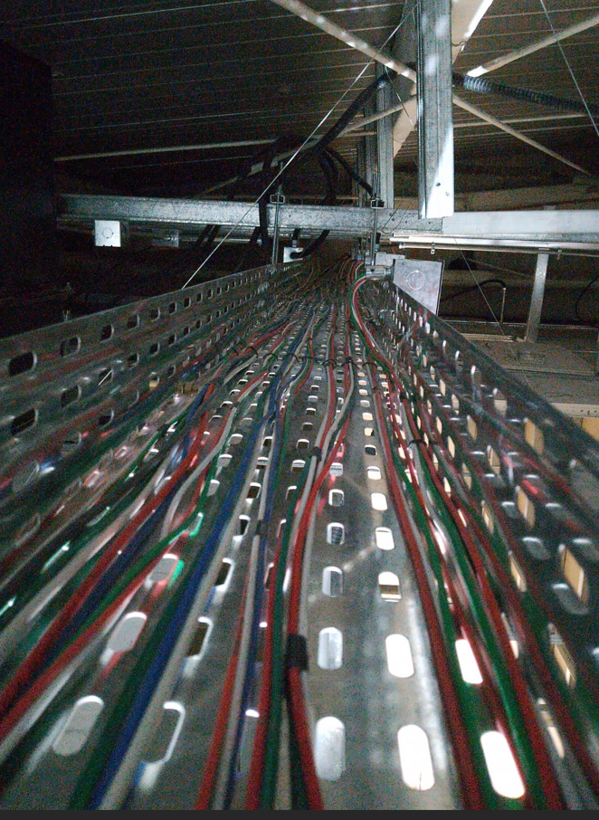 Subway mall dragon dorado - Imagen 6